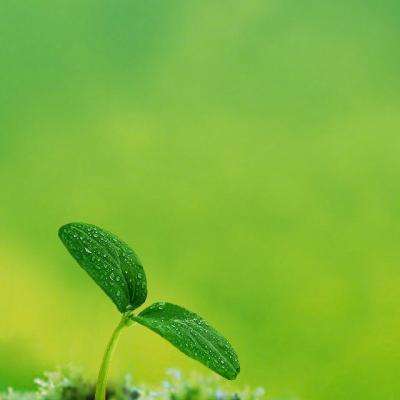 逐光启航最新版完整版下载